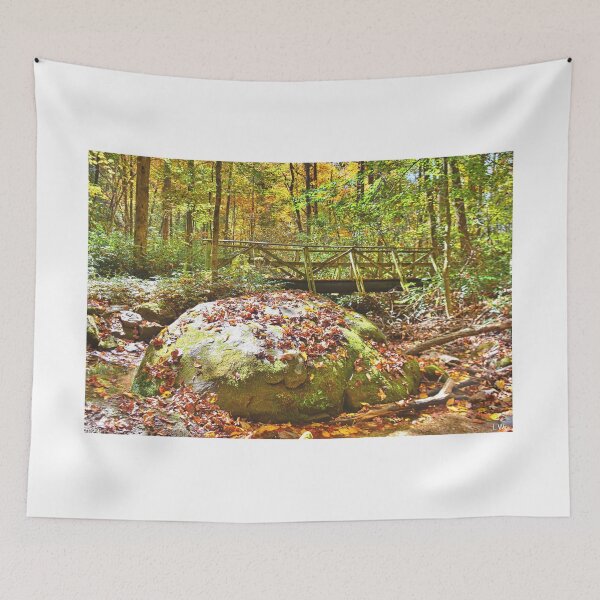 Item preview, Autumn On The Bolder designed and sold by LisaWootenPhoto.
