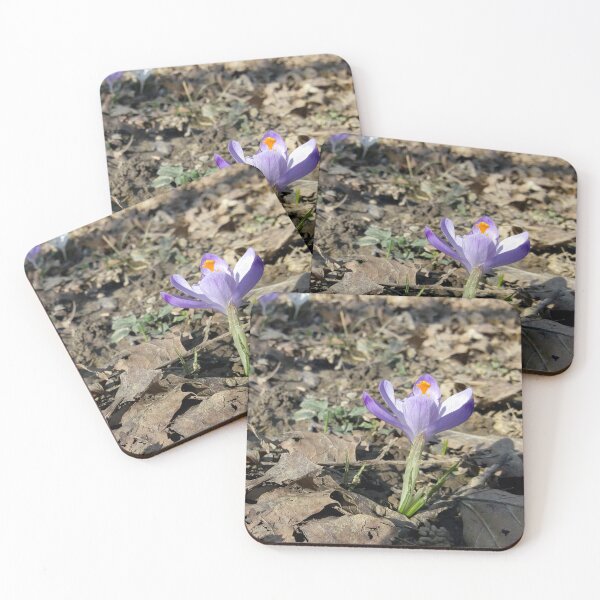 Item preview, Crocus flower field 13 original artwork designed and sold by paragonDesign28.
