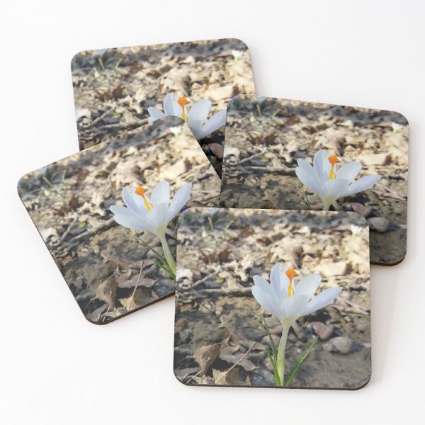 Item preview, Crocus flower field 14 original artwork designed and sold by paragonDesign28.