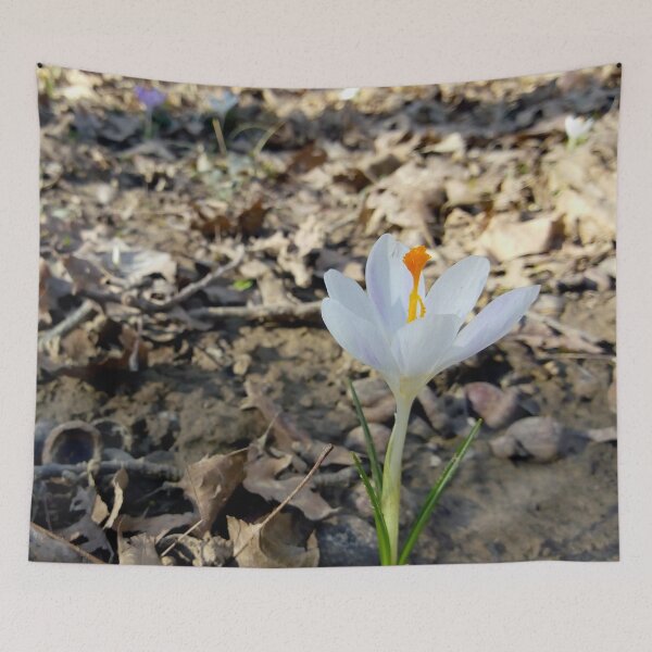Item preview, Crocus flower field 14 original artwork designed and sold by paragonDesign28.