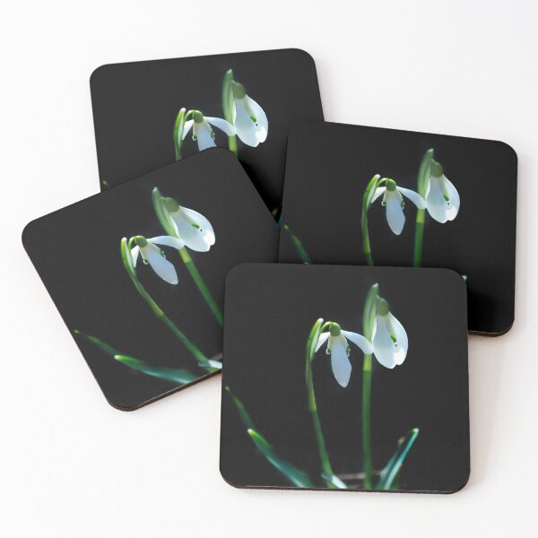 Item preview, White snowdrops on black background designed and sold by olena2552.