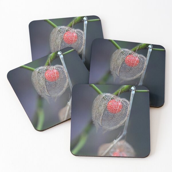 Item preview, Red physalis on nature background designed and sold by olena2552.