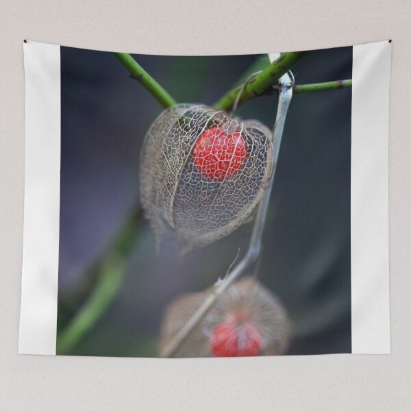 Item preview, Red physalis on nature background designed and sold by olena2552.