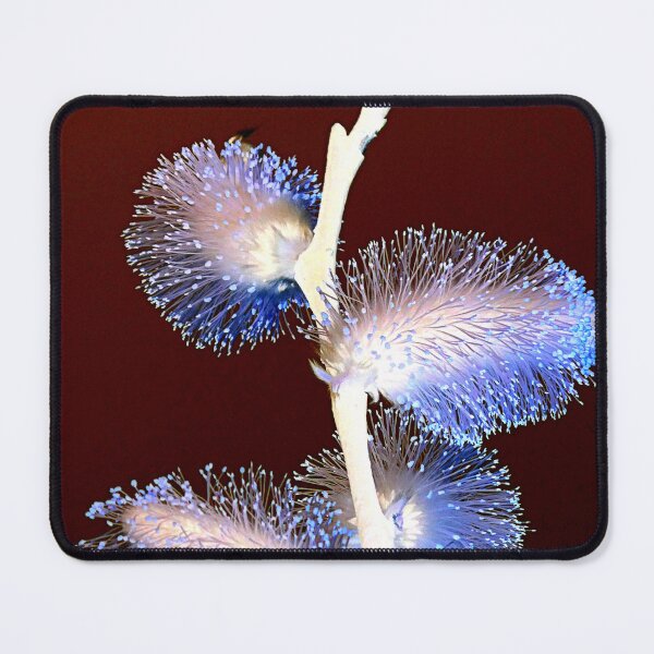 Item preview, Catkin Art designed and sold by angel1.