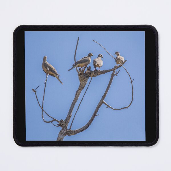 Item preview, Mourning Doves designed and sold by CarolM.