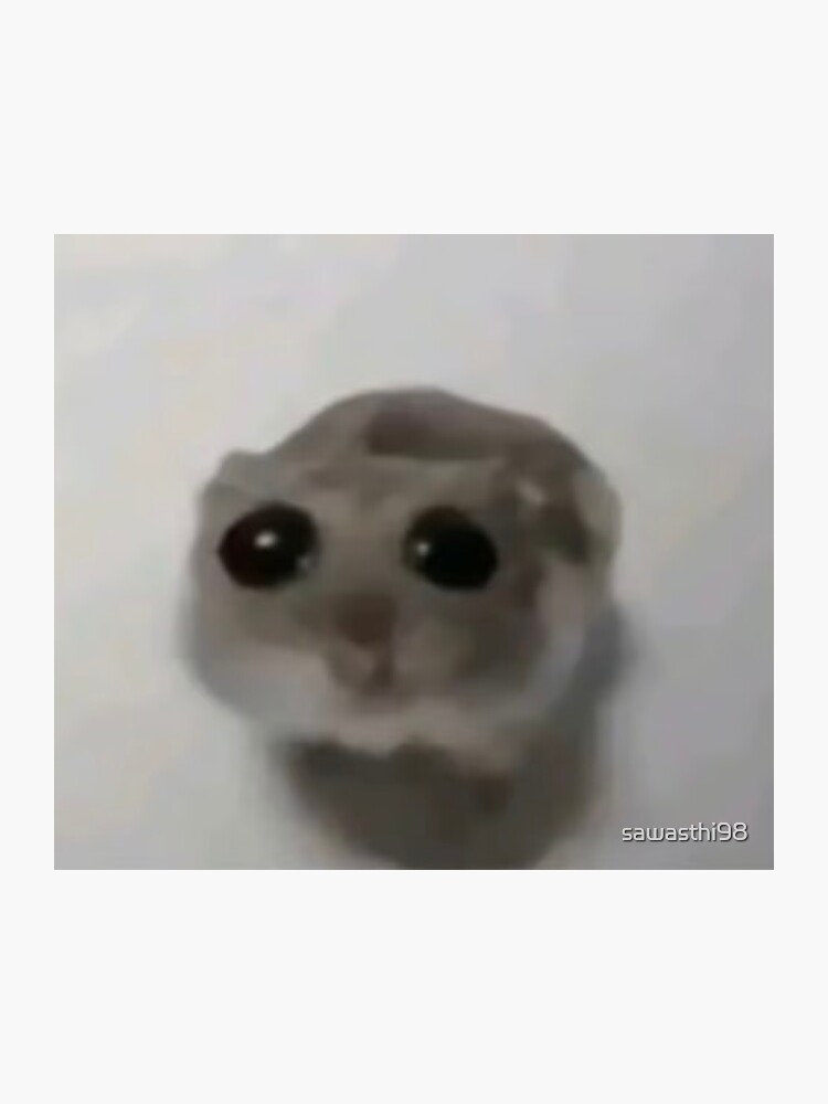 "Sad Hamster Meme " Sticker for Sale by sawasthi98 Redbubble