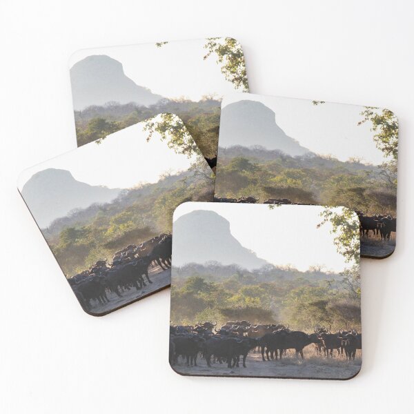 Item preview, Cape Buffalo in Zimbabwe designed and sold by Riley Carroll.