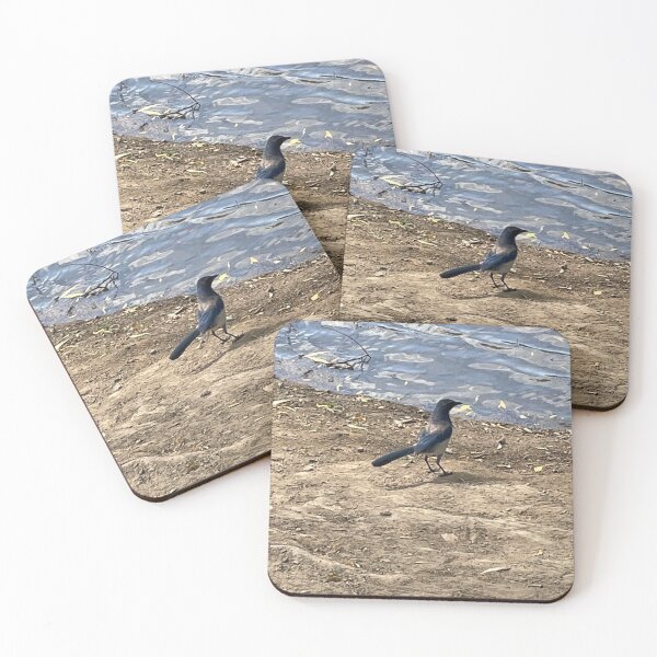 Item preview, Blue bird at waterline designed and sold by ClaudiasCousin.