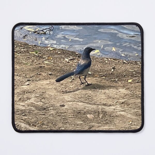 Item preview, Blue bird at waterline designed and sold by ClaudiasCousin.