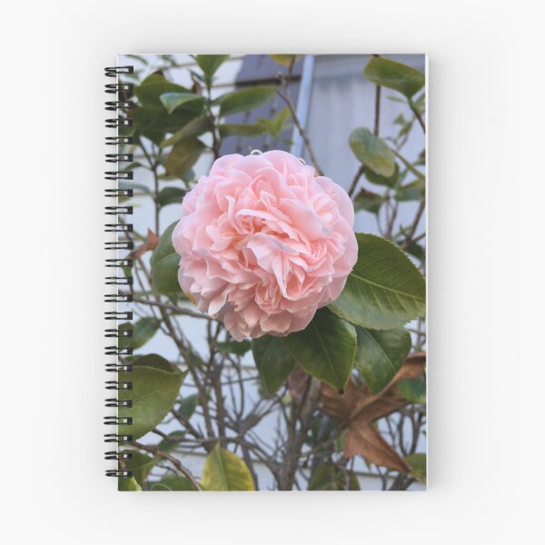Item preview, Pink Camelia in bloom designed and sold by ClaudiasCousin.