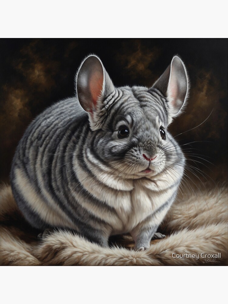 Chinchilla