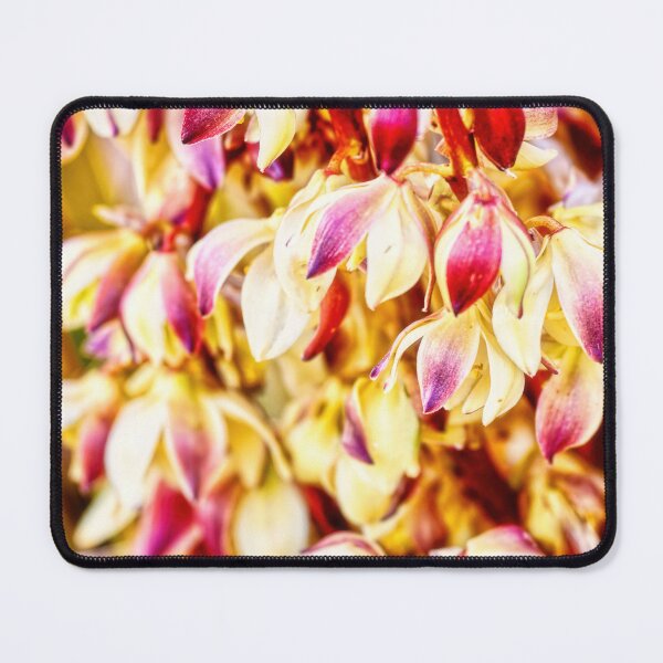 Item preview, Joshua Tree flowers at springtime designed and sold by Travelways.