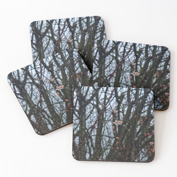 Item preview, Spring is Springing designed and sold by Amber Graham (grahamedia).