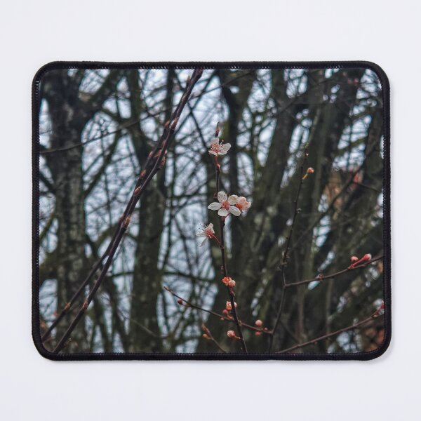Item preview, Spring is Springing designed and sold by Amber Graham (grahamedia).