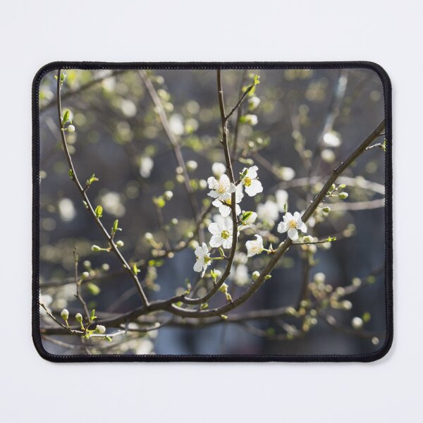Item preview, Spring is Coming - First Blossoms Opening on a Plum Tree designed and sold by Georgia Mizuleva.