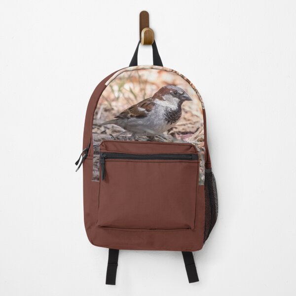 Item preview, Male House Sparrow designed and sold by CarolM.