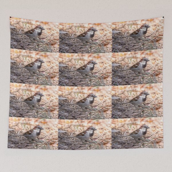 Item preview, Male House Sparrow designed and sold by CarolM.