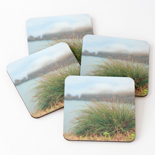 Item preview, Festuca petraea designed and sold by Gaspar Avila.