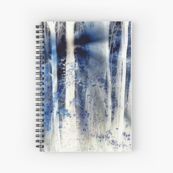 Blue Spiral Notebook