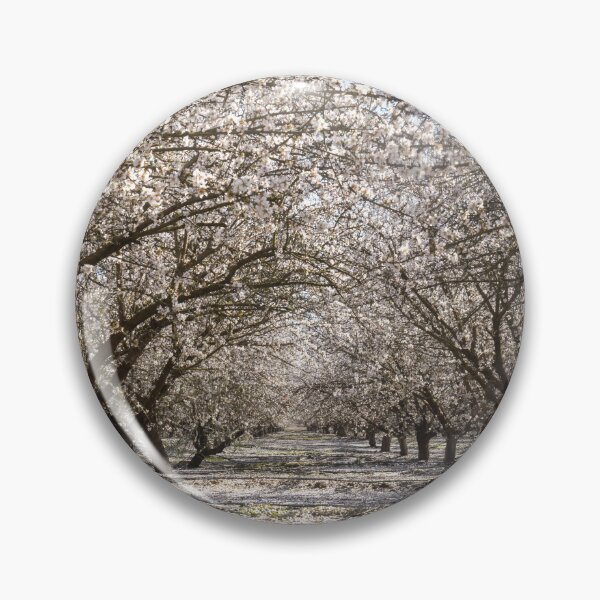 Item preview, Almond Blossom in Modesto, Stanislaus County, California. designed and sold by yhelfman.