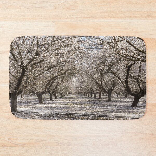 Item preview, Almond Blossom in Modesto, Stanislaus County, California. designed and sold by yhelfman.