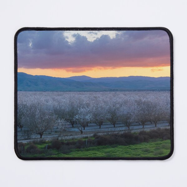 Item preview, Atmospheric Sunset over Almond Blooming Orchards in California Central Valley designed and sold by yhelfman.