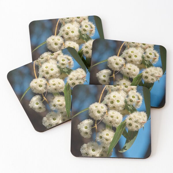 Item preview, Jarrah Blossoms designed and sold by SallyB.Photography.