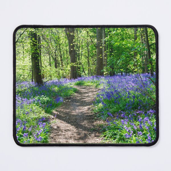 Item preview, Yorkshire Sculpture Park Bluebell Wood designed and sold by Alisonchambers2.