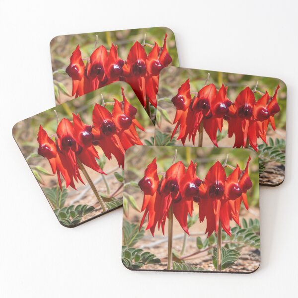 Item preview, Sturt's Desert Pea designed and sold by SallyB.Photography.