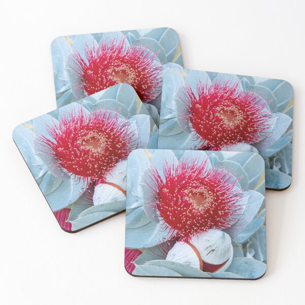Item preview, Morning Macrocarpa designed and sold by SallyB.Photography.