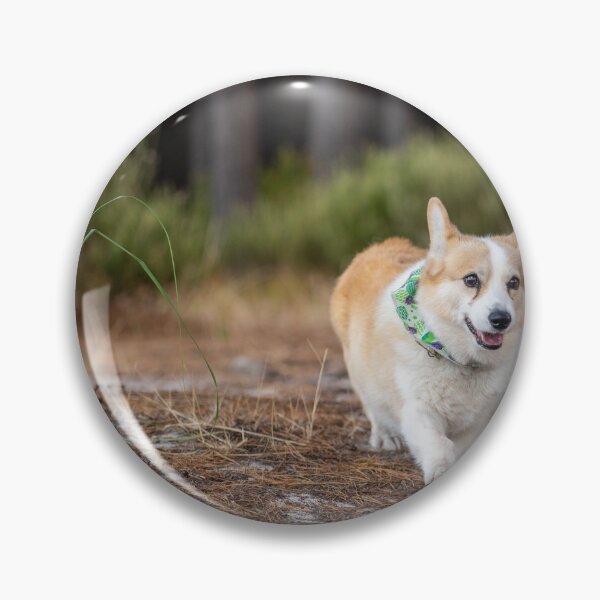 Item preview, corgis in the forest   designed and sold by Cannanvisual7.