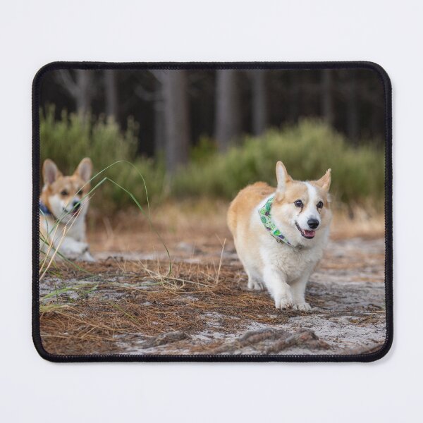 Item preview, corgis in the forest   designed and sold by Cannanvisual7.