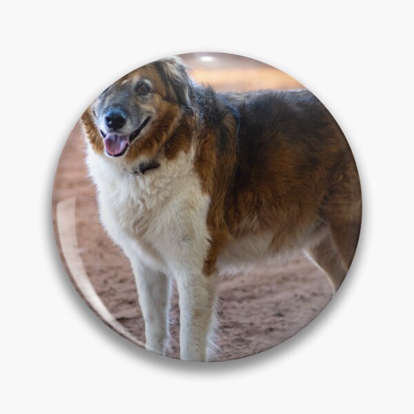 Item preview, cute dog  designed and sold by Cannanvisual7.