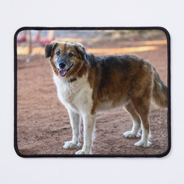Item preview, cute dog  designed and sold by Cannanvisual7.