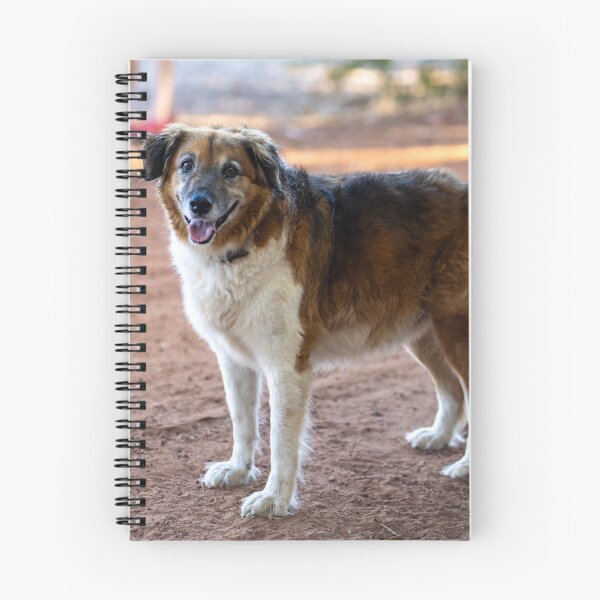 Item preview, cute dog  designed and sold by Cannanvisual7.