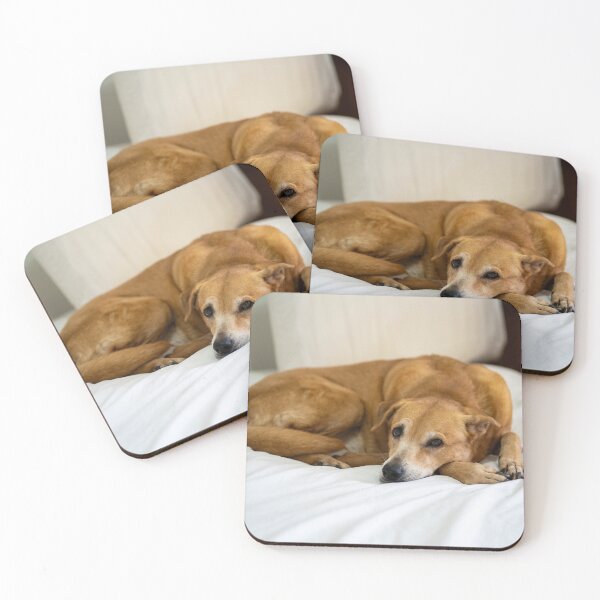 Item preview, cute dog on bed designed and sold by Cannanvisual7.