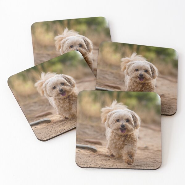 Item preview, he so cute designed and sold by Cannanvisual7.