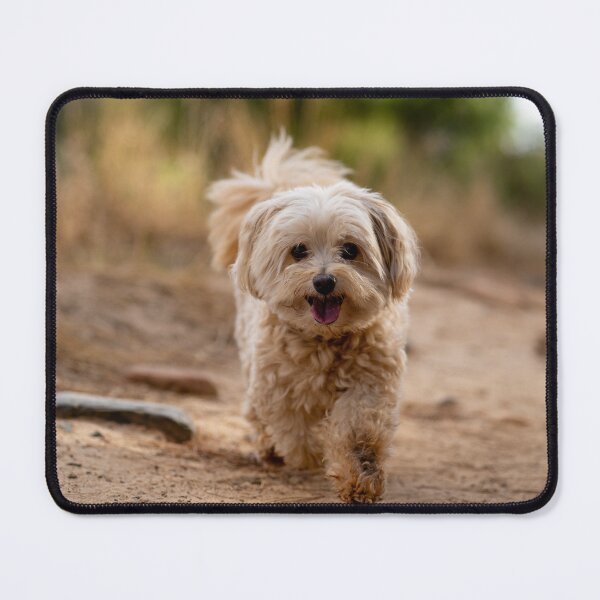 Item preview, he so cute designed and sold by Cannanvisual7.