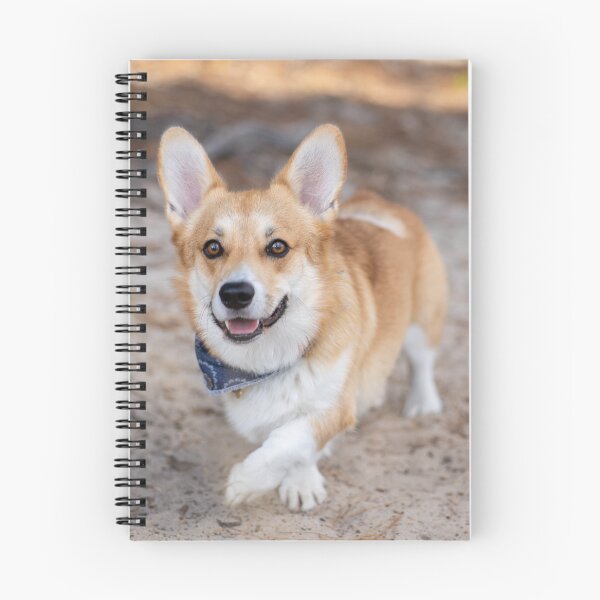 Item preview, corgi  designed and sold by Cannanvisual7.