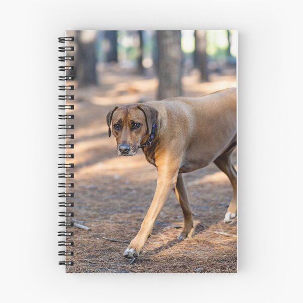 Item preview, ridgeback  designed and sold by Cannanvisual7.