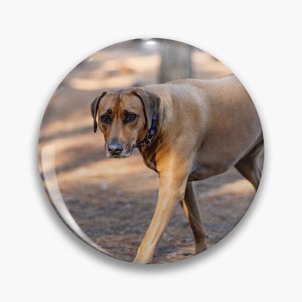 Item preview, ridgeback  designed and sold by Cannanvisual7.
