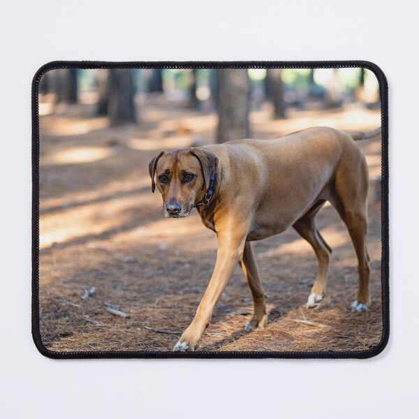 Item preview, ridgeback  designed and sold by Cannanvisual7.