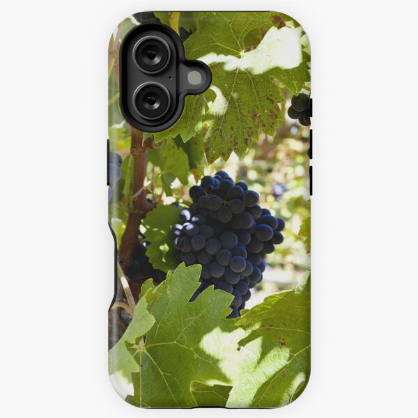 Item preview, Burgundy grapes on the vine designed and sold by Kevin Hayden.