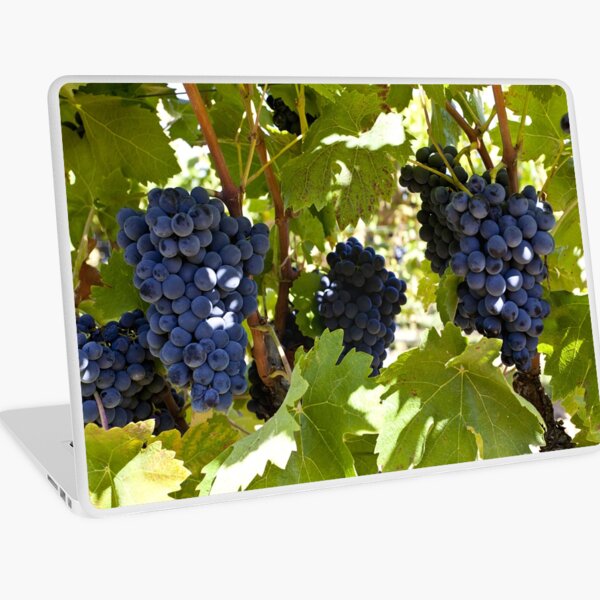 Item preview, Burgundy grapes on the vine designed and sold by Kevin Hayden.