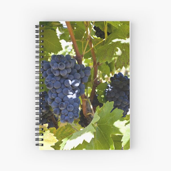 Item preview, Burgundy grapes on the vine designed and sold by Kevin Hayden.