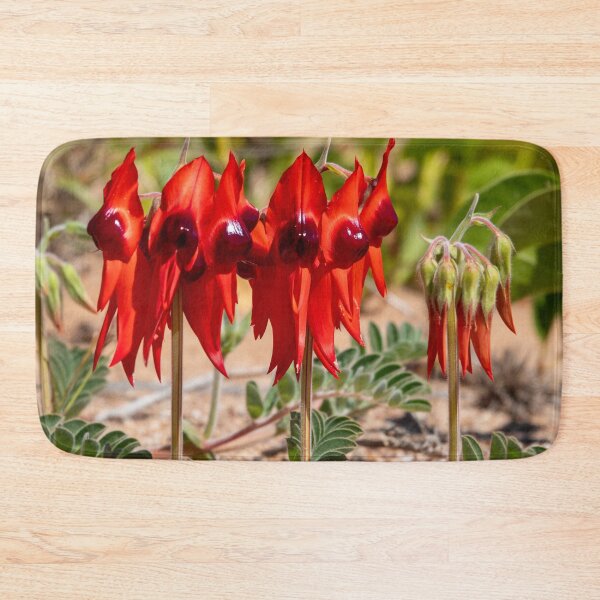 Item preview, Sturt's Desert Pea designed and sold by SallyB.Photography.