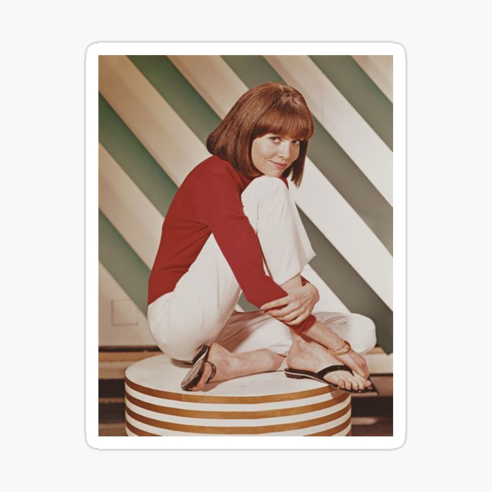 Barbara Feldon pretty