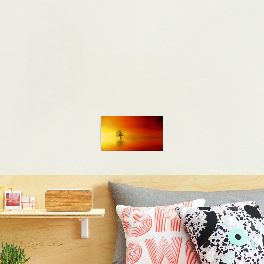 Item preview, Photographic Print designed and sold by Manoley.