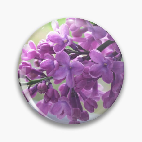 Item preview, Lilac3 designed and sold by CameliaC.