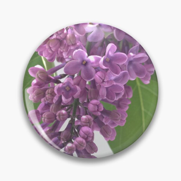 Item preview, Lilac4 designed and sold by CameliaC.